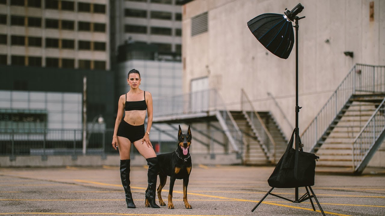 Photoshoot with a DOBERMAN PINSCHER