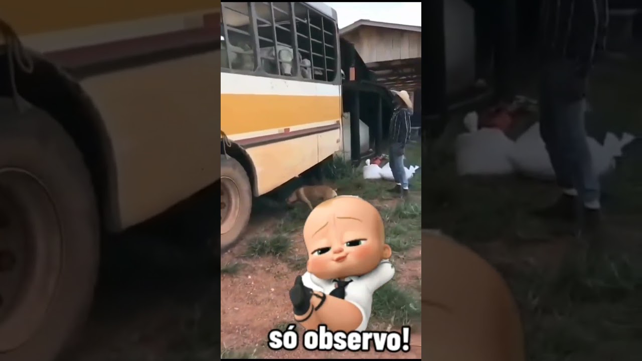 Eu conto ou tu conta 