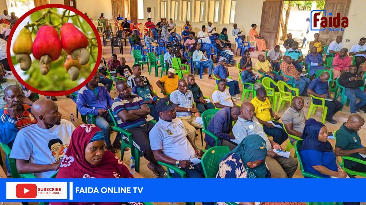 BEI YA KOROSHO YAVUNJA REKODI MTWARA | TANI 3857 ZA TANECU ZAUZWA KWA TSH. 4120 KWA KILO MOJA.