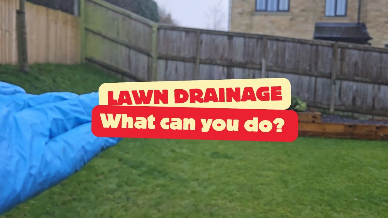 Improve drainage in your lawn, you may not need to spend loads of money