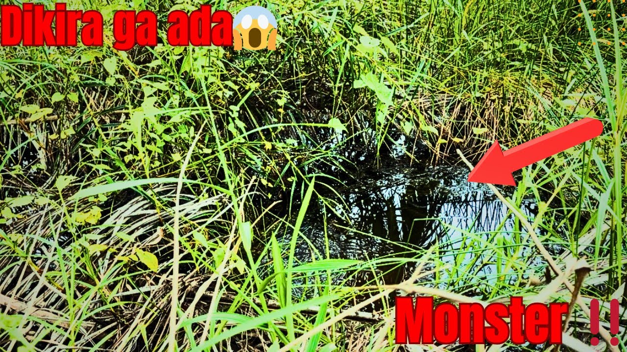 GILA..‼️ Spot Jarang Dijelajahi Ini Ternyata Sarang Monster!!