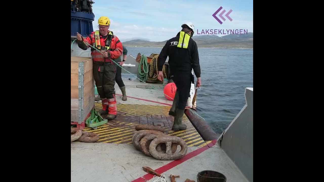 Smoltsporingsprosjektet - Utsett loggere