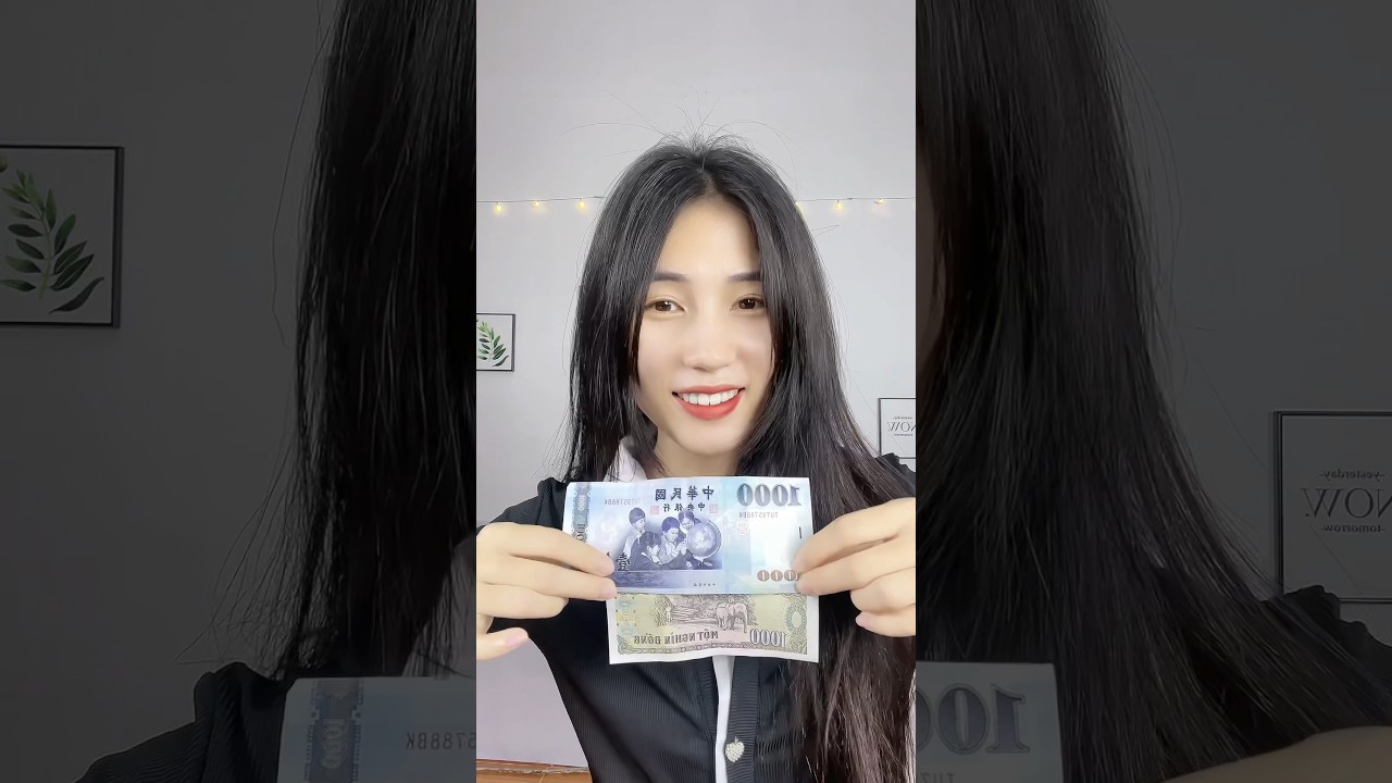1000台币和1000越南盾差别多少？ #双胞胎  #台湾
