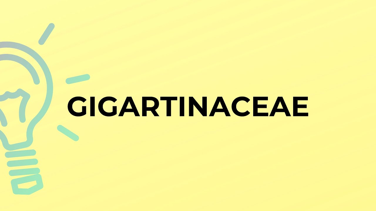What is the meaning of the word GIGARTINACEAE?