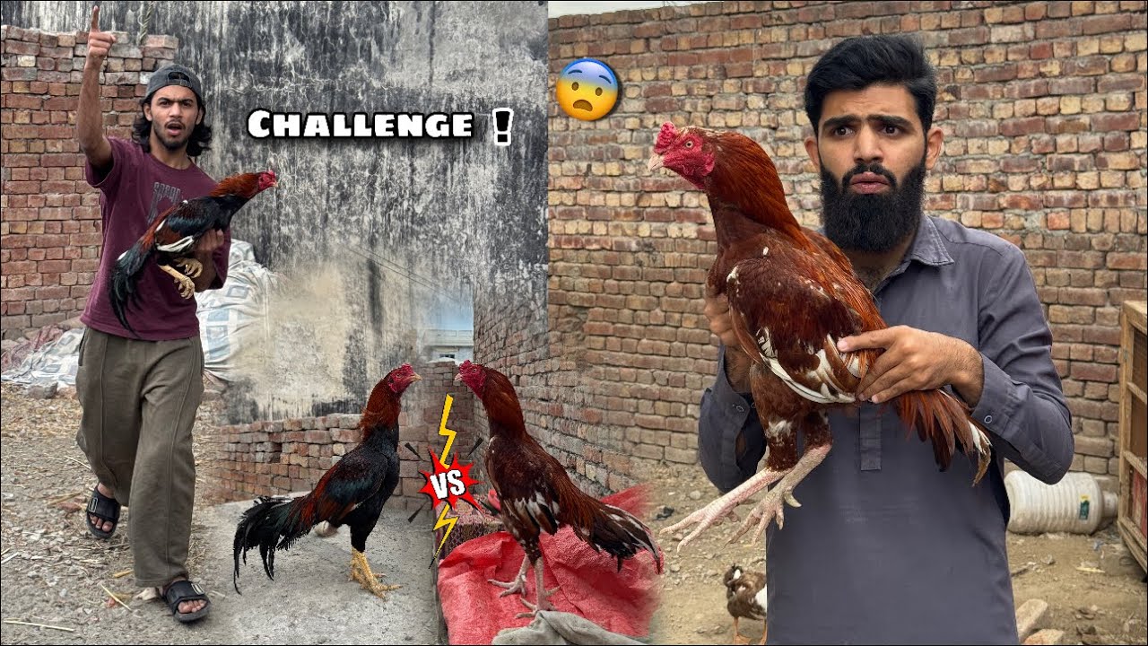 Mavi na Match challenge kr dia 😳😡