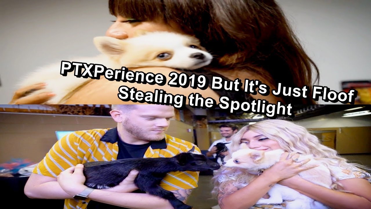 PTXPerience 2019 But It's Just Floof Stealing the Spotlight