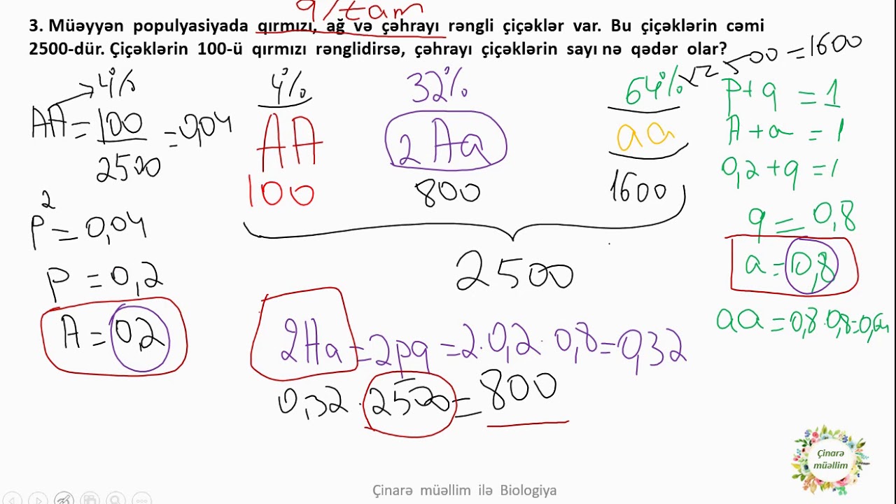 Tapşırıqlar Hardy Weinberg