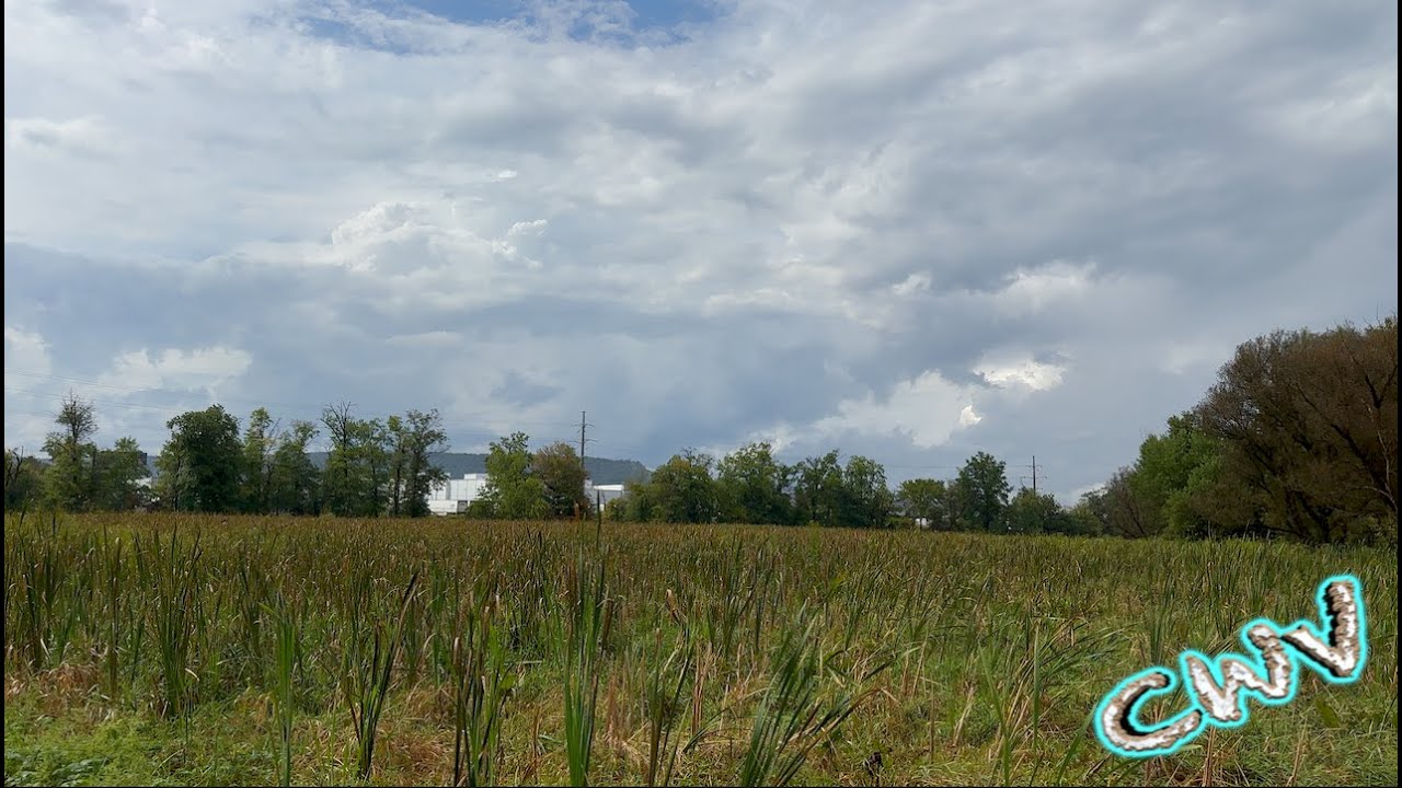 Rainy Trip to Wildwood Park (9.10.23 - Day 3358) #YEAR10