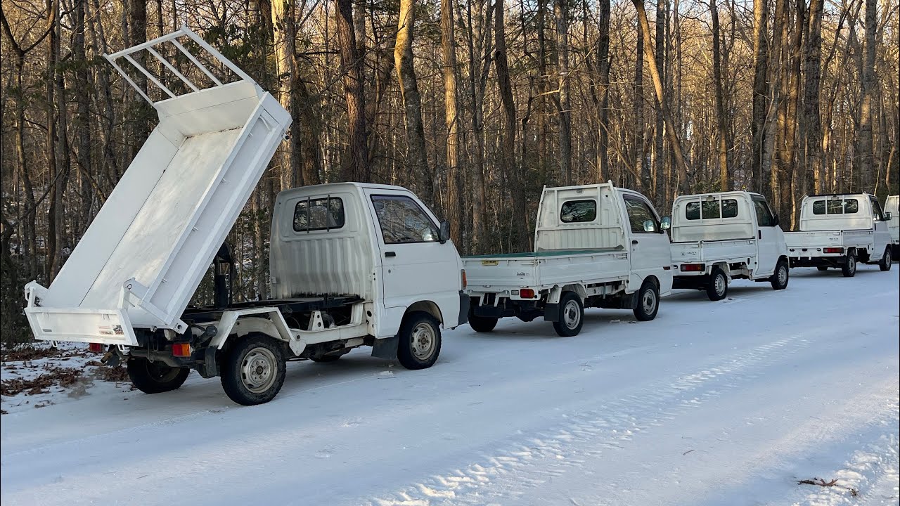 January 29th 2026 shipment