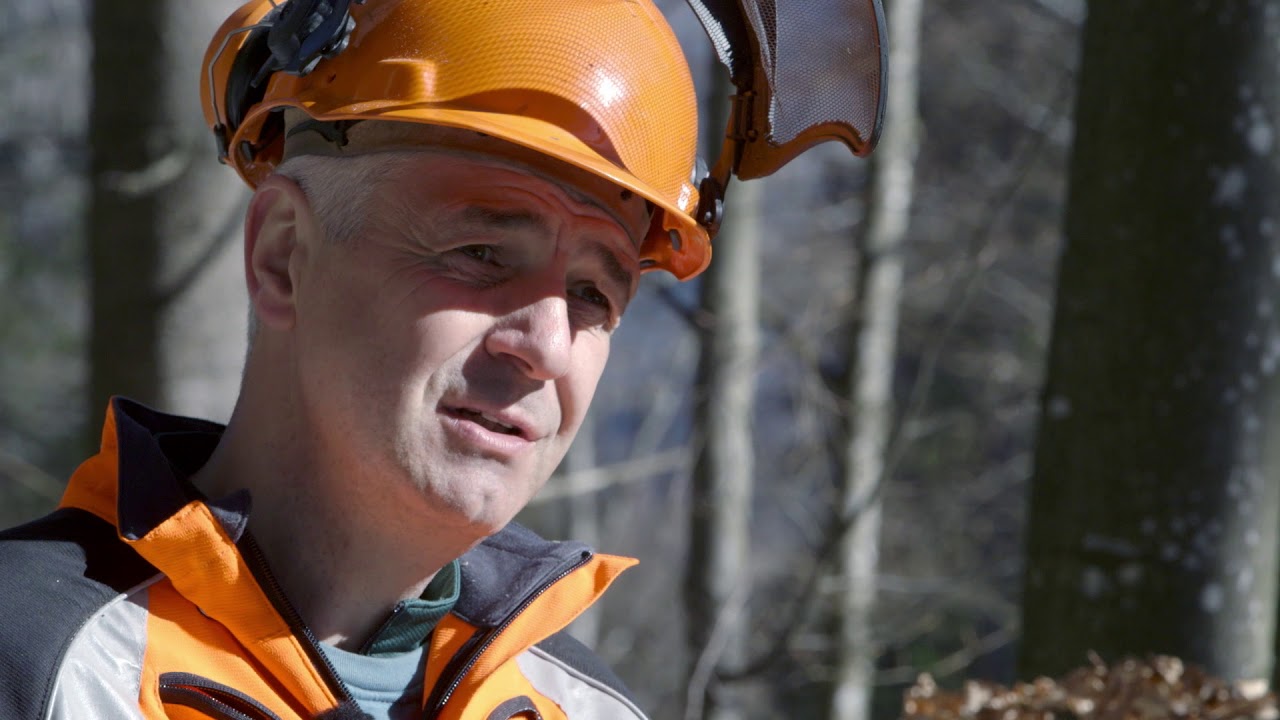 Sicher bei der Holzernte  | Tutorial der Bayerischen Staatsforsten