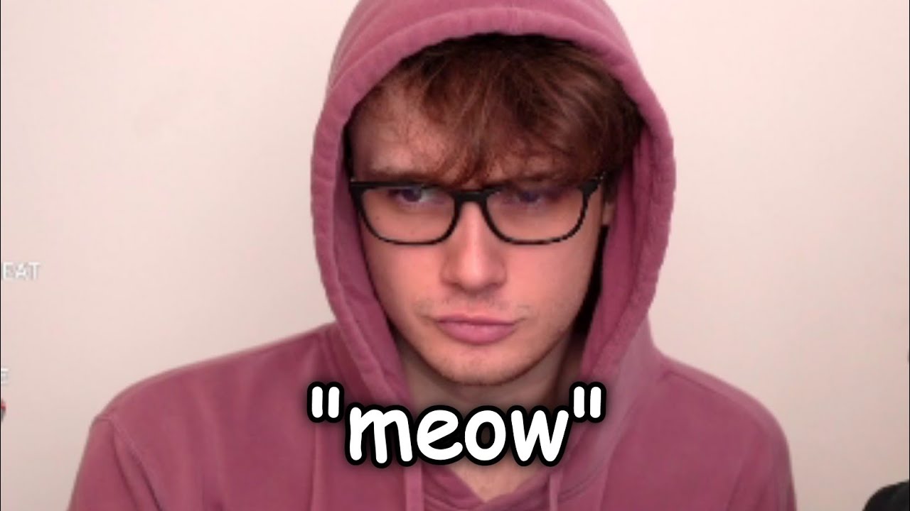 Wilbur Poses And Meow's to Interrupt His Stream