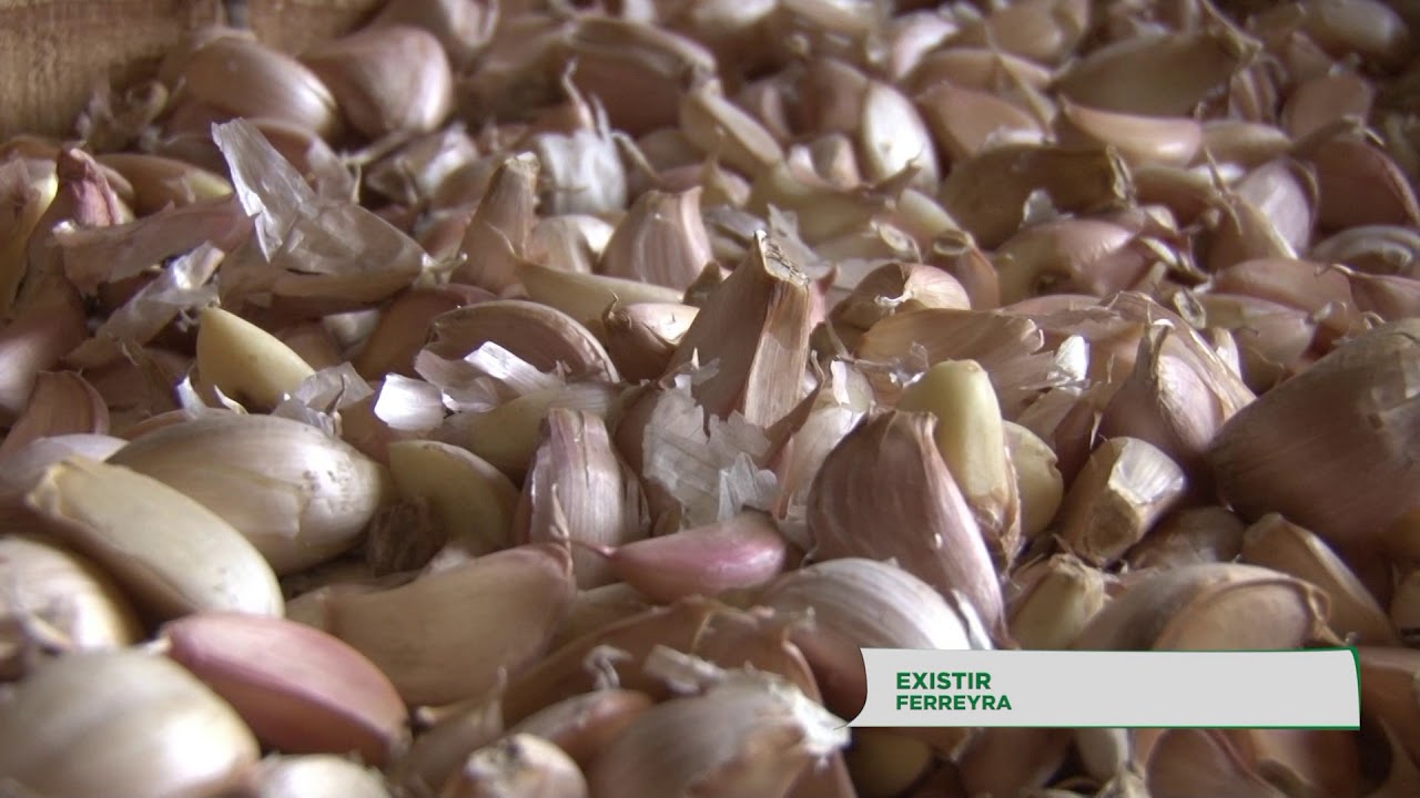 Córdoba Agroecológica 04: Existir (Ferreyra)