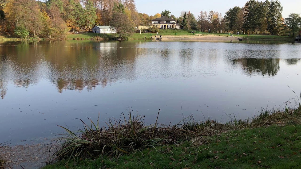 Der Hattsteinweiher bei Usingen in Hessen - Von Klaus Christ