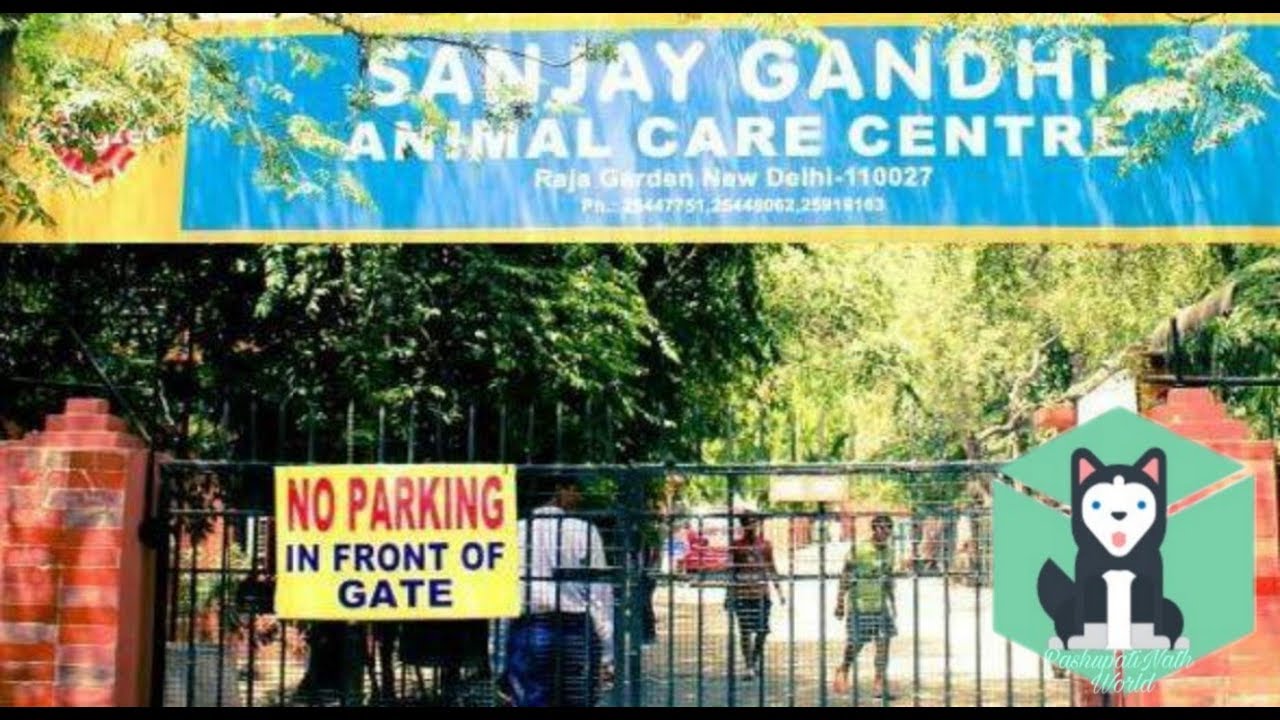 Information about Sanjay Gandhi Animal Care Centre