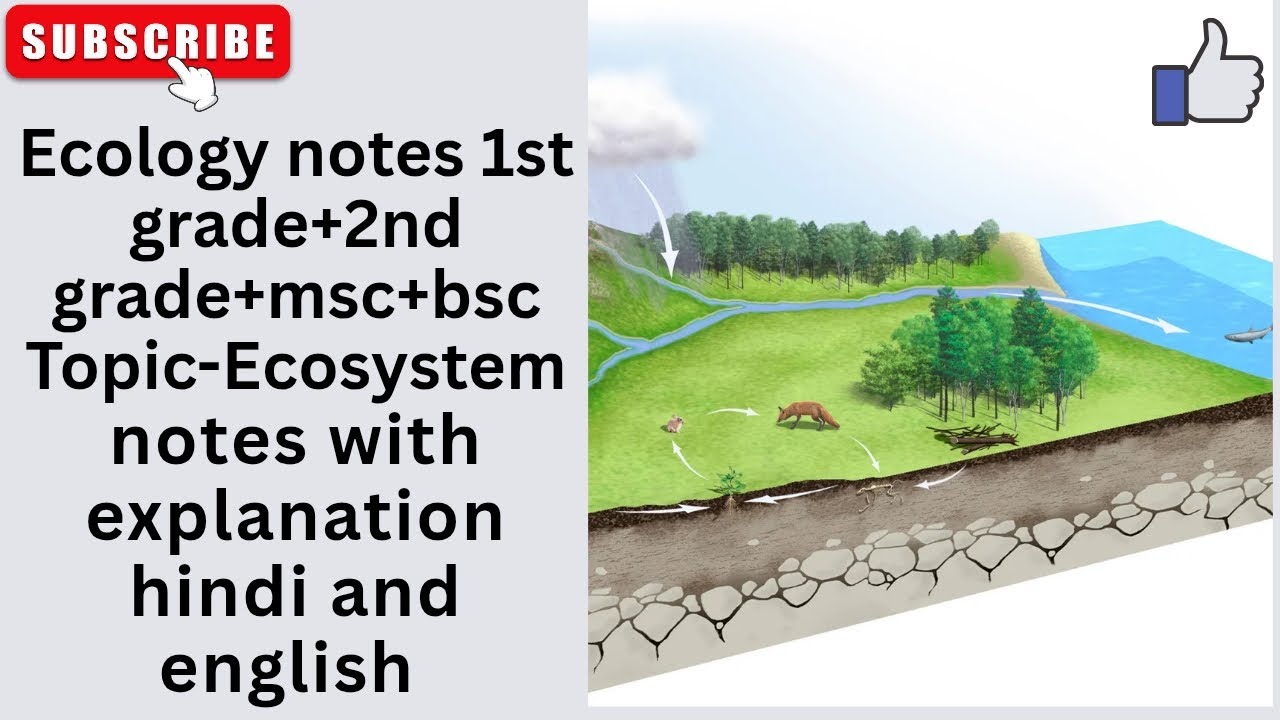 #ecology#ecosystem#1stgrade#2ndgrade#msc#bsc#topic#ecosystem notes explaination in hindi & english 