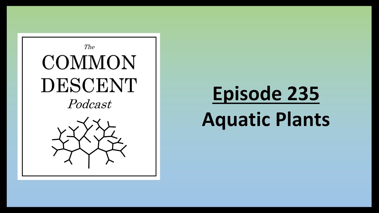 Episode 235 - Aquatic Plants
