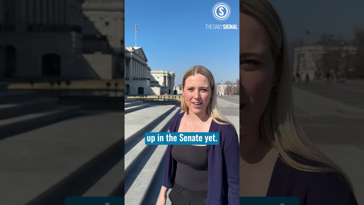 Save America Act Stalls in Senate While &lsquo;Doggi Gras&rsquo; Fetches Bipartisan Applause