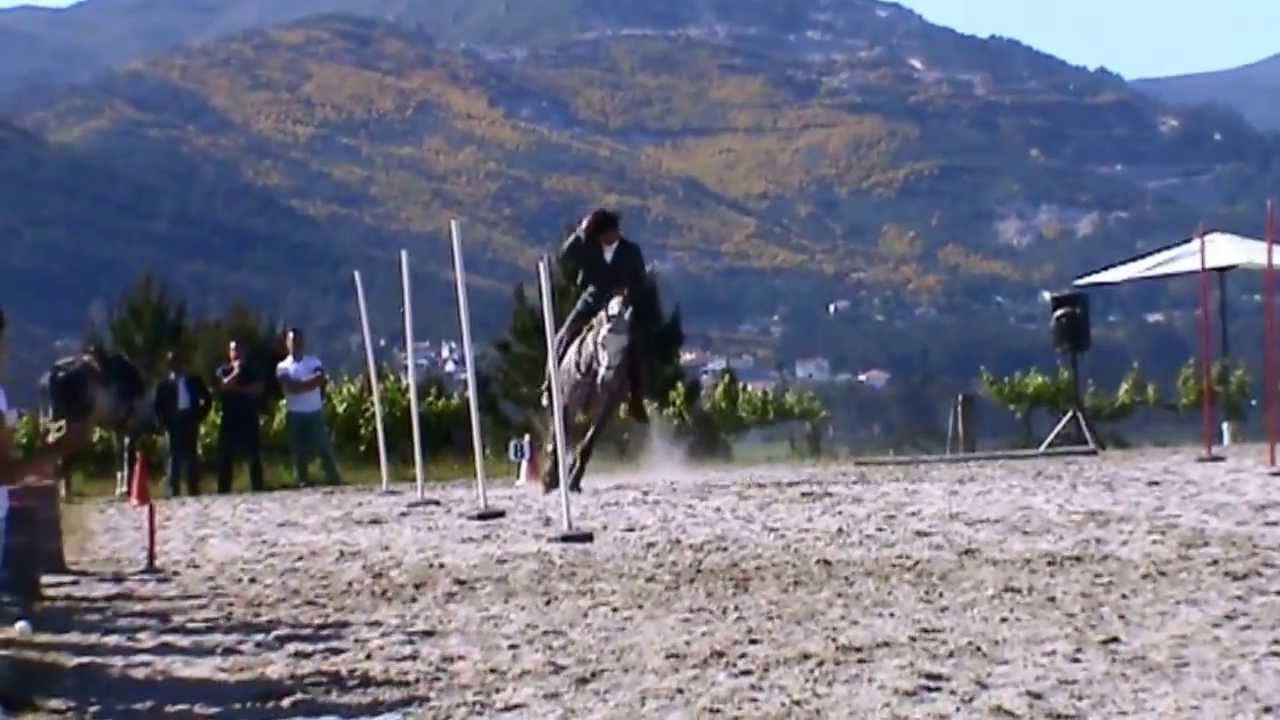 Working Equitation Nuno Avelar and Bogotá(JCL) - Speed Test - Ponte de Lima
