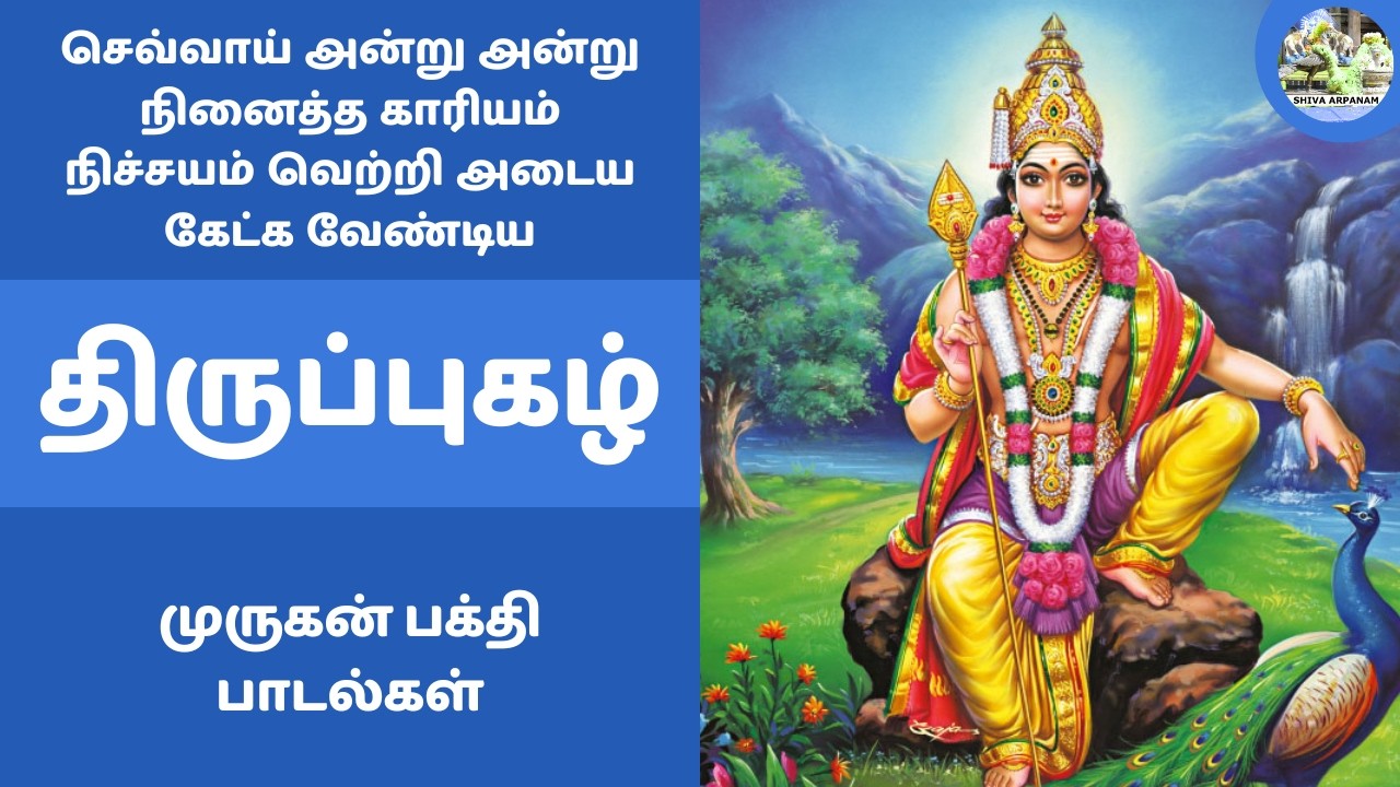 திருப்புகழ் 🐓 செவ்வாய் அன்று நினைத்த காரியம் நிச்சயம் வெற்றி அடைய  முருகன் பக்தி பாடல்கள் thirupugal