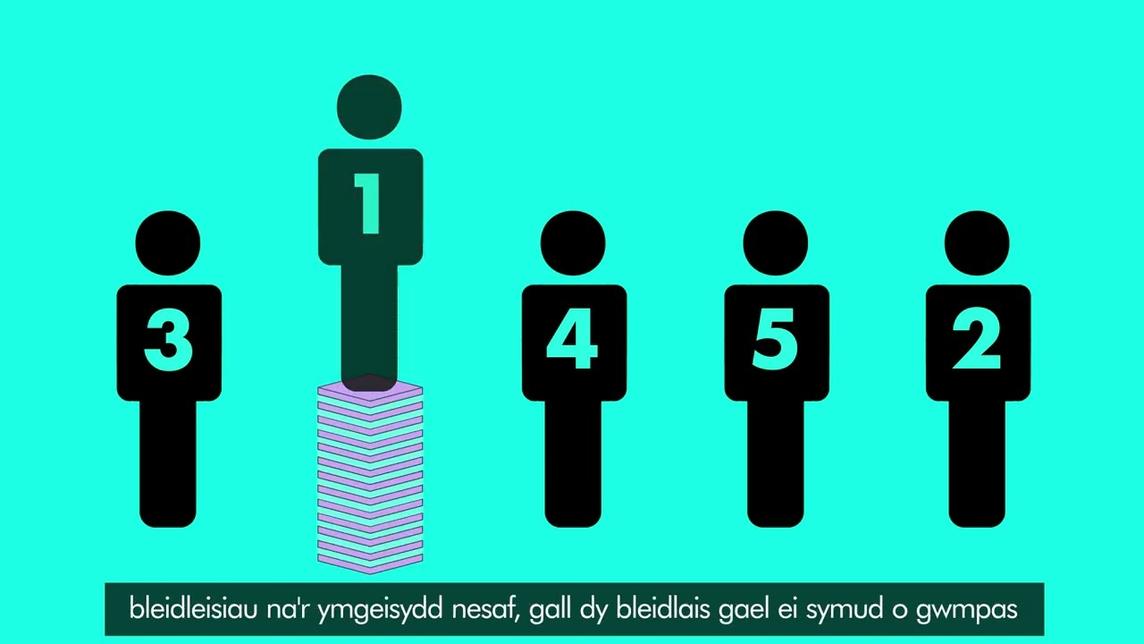 Croeso i Dy Bleidlais - Systemau Pleidleisio: Pleidlais Sengl Drosglwyddadwy – Cymru