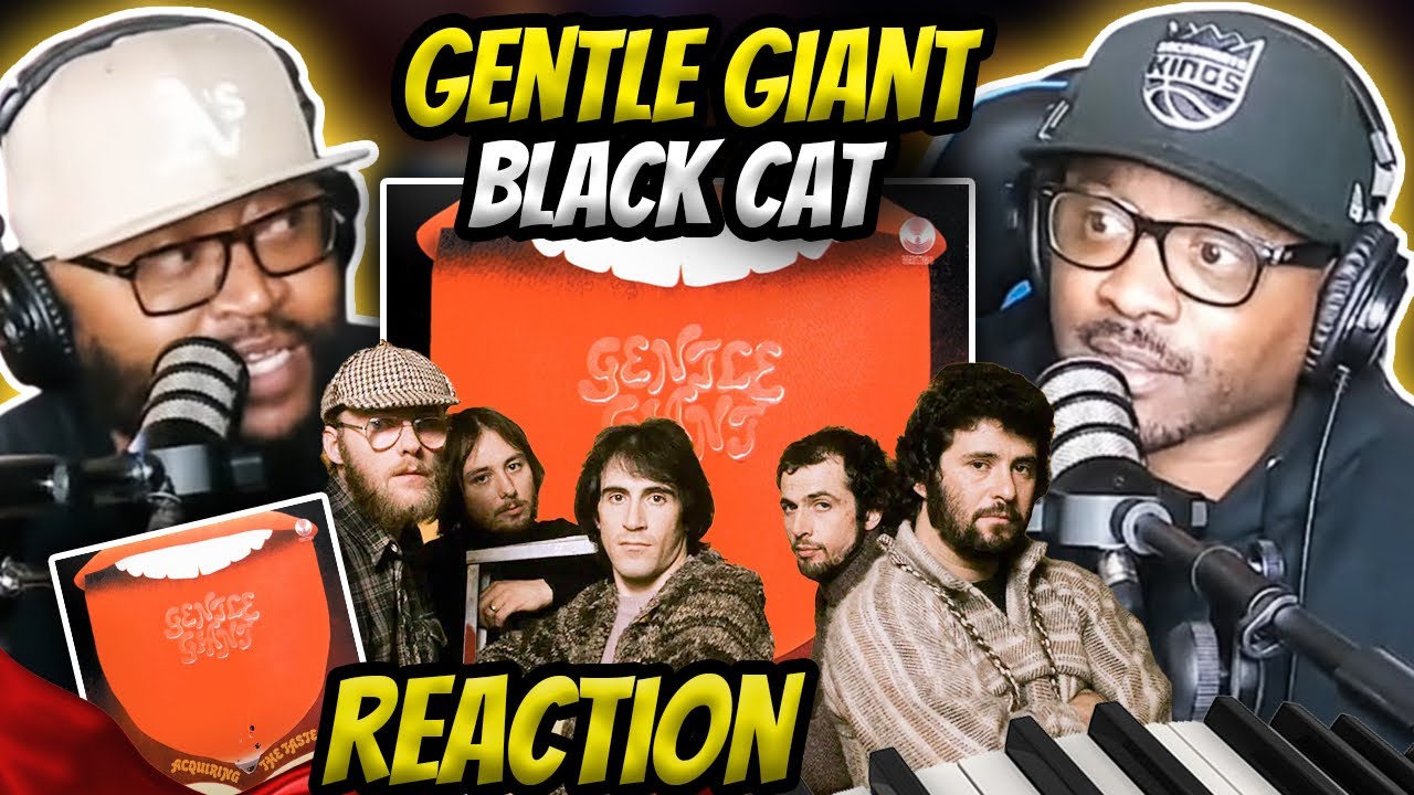 Gentle Giant - Black Cat (REACTION) #gentlegiant #reaction #trending