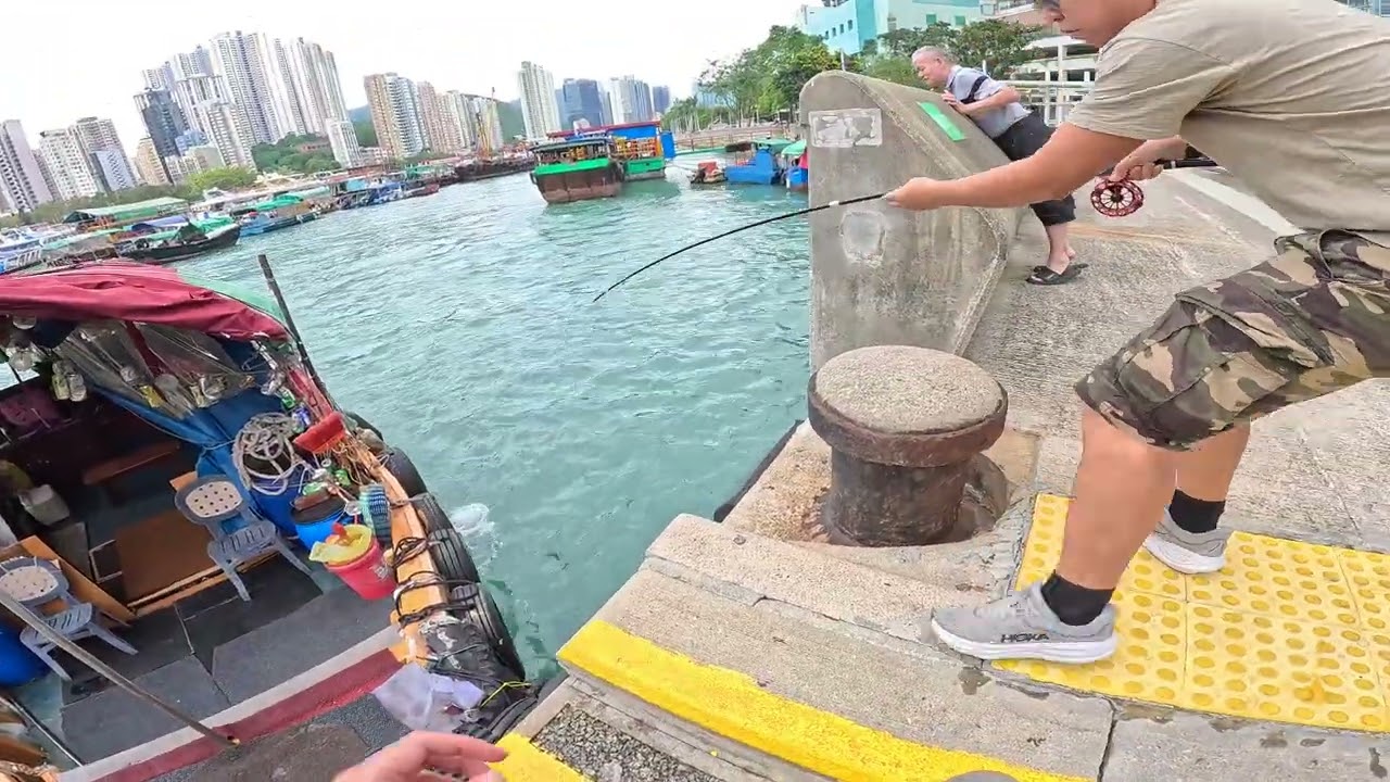 南區釣魚步兵 藍瓜子 24/10/2025