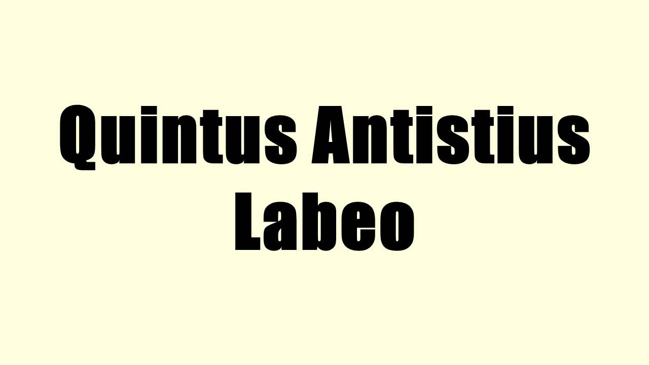 Quintus Antistius Labeo