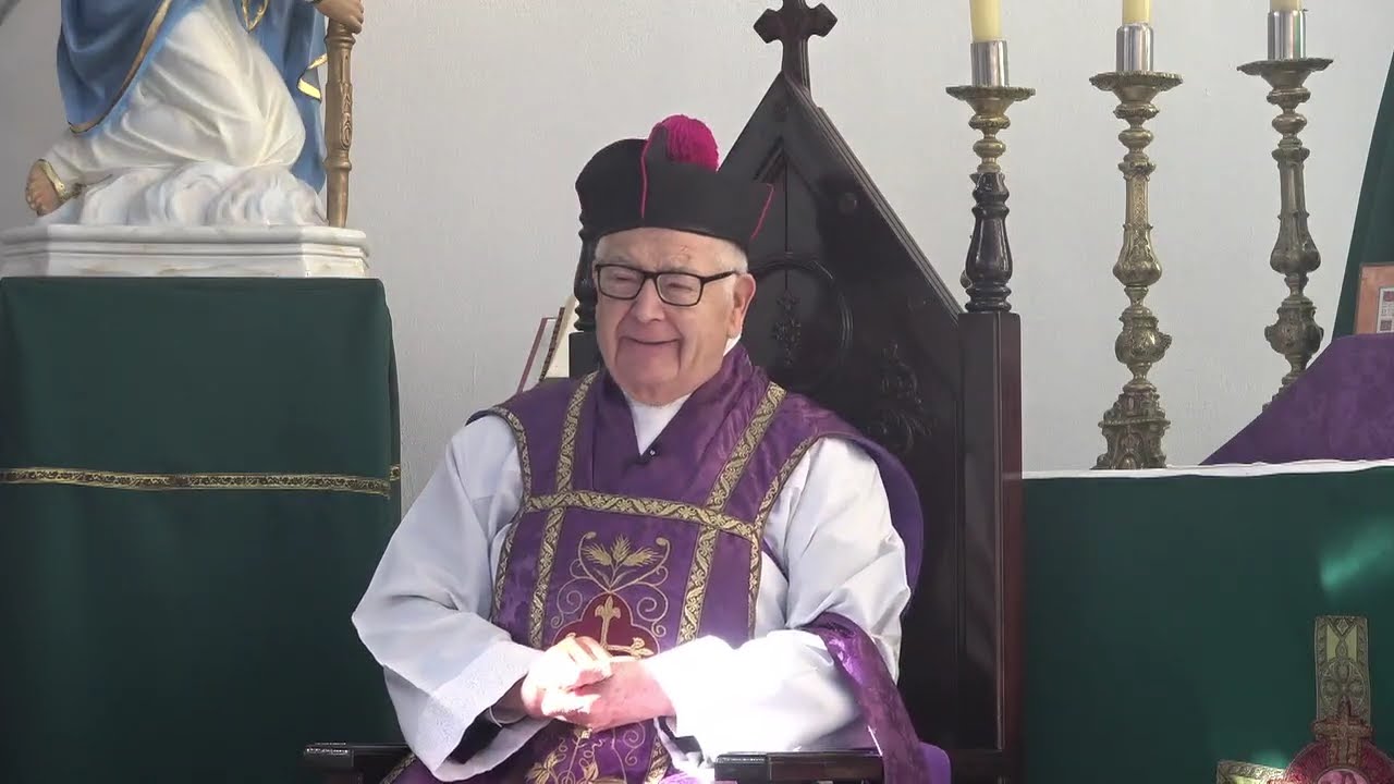 1895-La compasión de la Virgen. Definiciones de Roma, palabras precisas