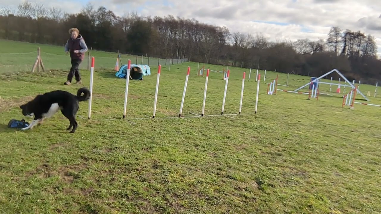 Cashy 8 Pole weaves open faced from tunnel
