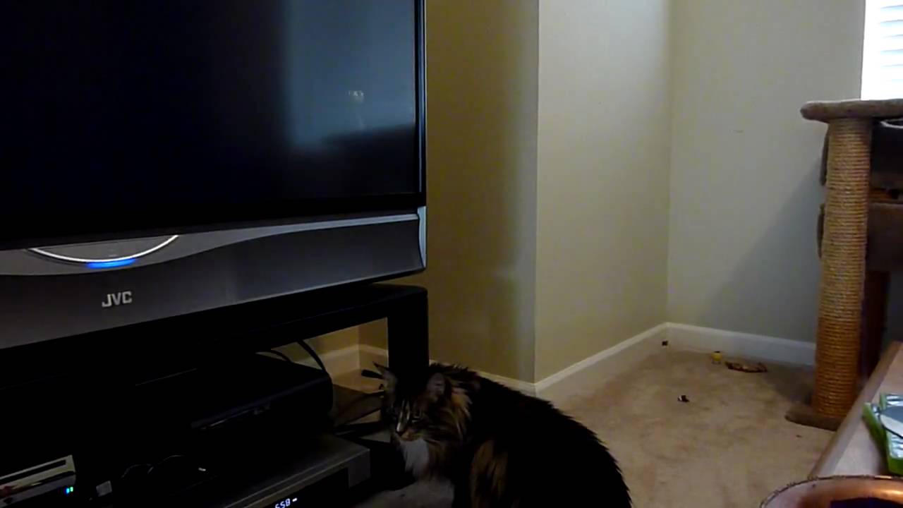 Drommie playing Drake's Fortune