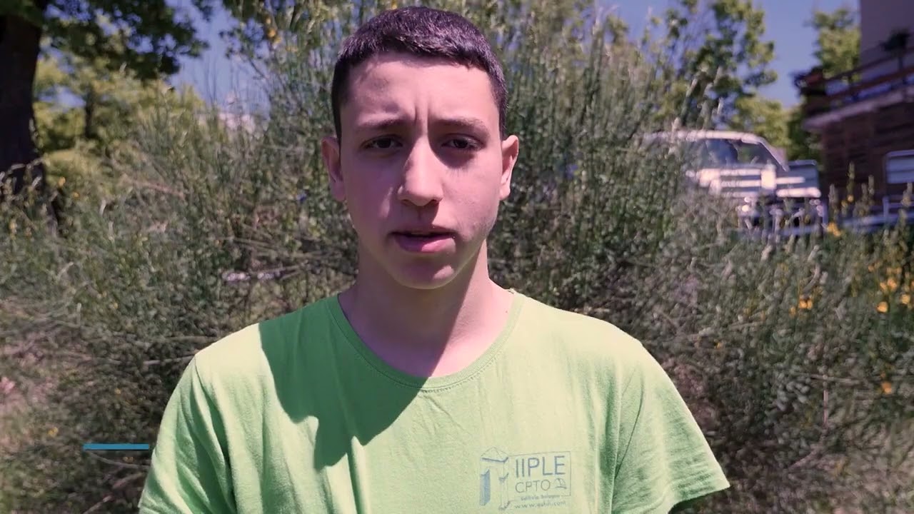 IIPLE - Operatore Edile alle strutture