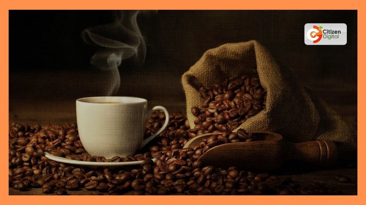 Farmers in Rift Valley reject directive on coffee payment