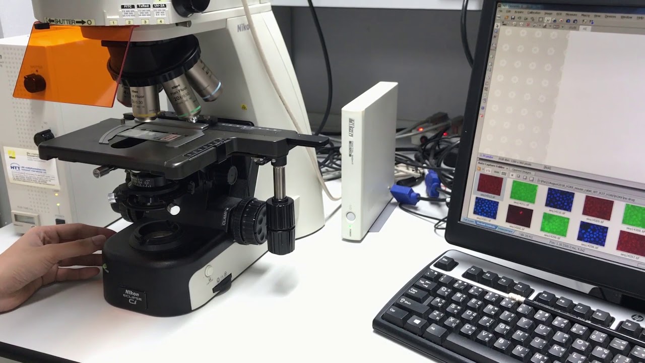 Nikon Ci, Upright Fluorescence Microscope #researchcenter #microscope