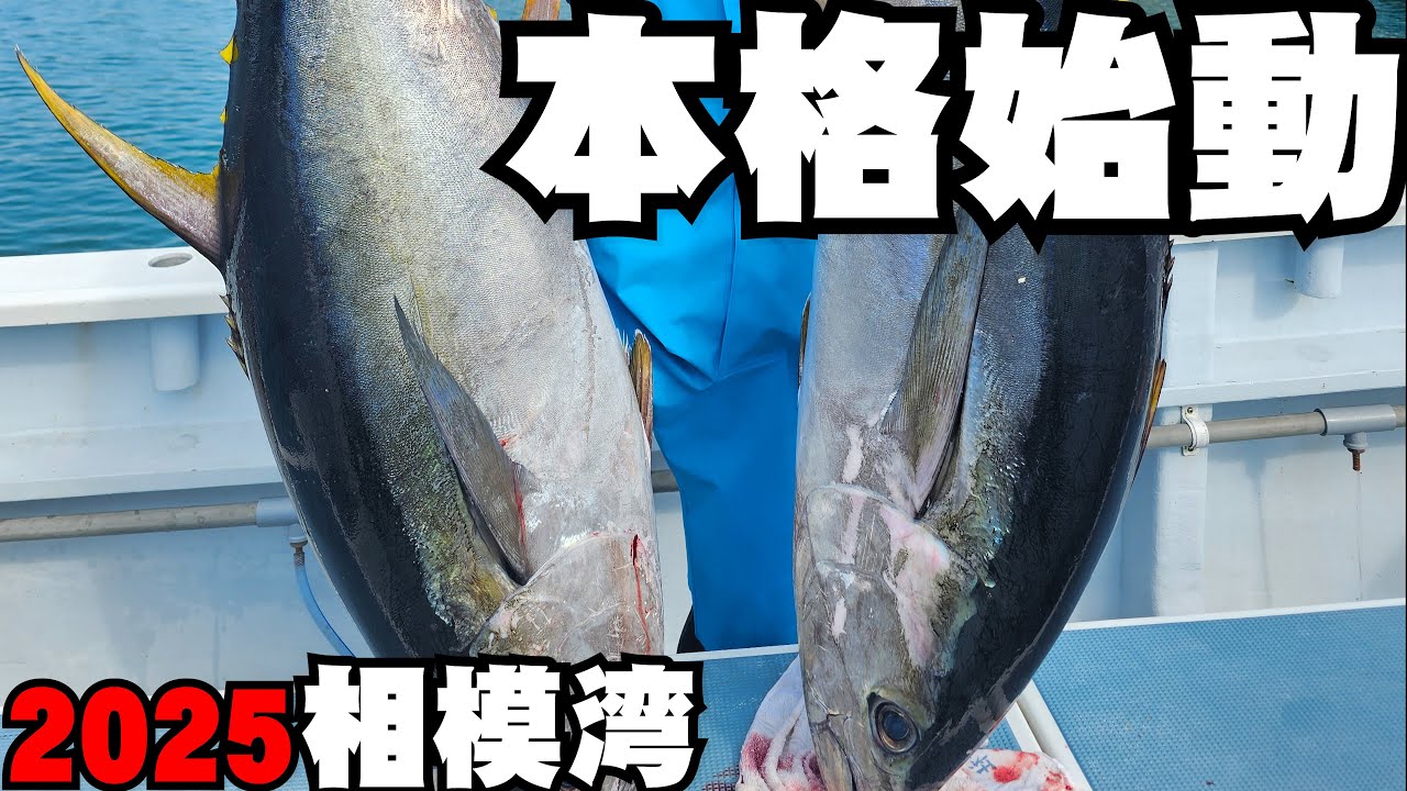 【2025年コマセマグロ本格始動】40号ハリスで常識を変える！