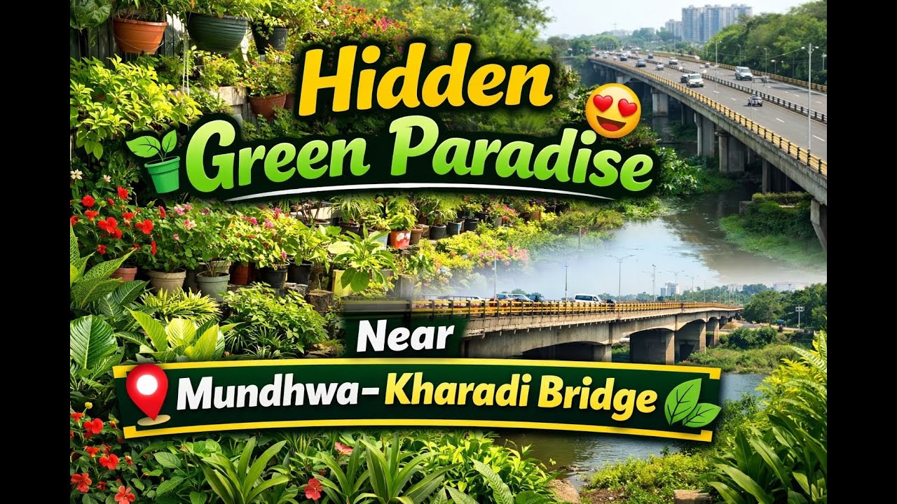 From Traffic to Tranquility 🌿 | Nursery Near Mundhwa–Kharadi Bridge 😍