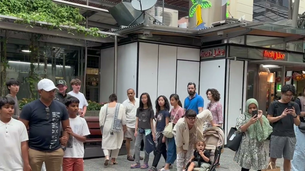卿卿日常：澳洲布里斯班街头古筝演奏！/Traditional Chinese GuZheng Music 