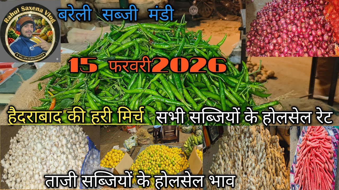 बरेली सब्जी मंडी15फरवरी 2026#streetfood #vegitablemarket #bareillycantt #Bareillysabjimandi# #reels 