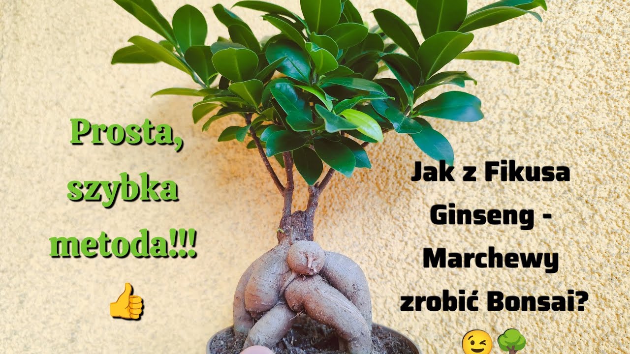 Jak z 