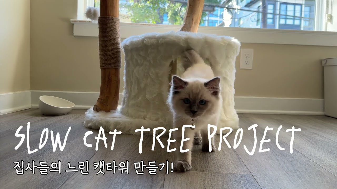 Slow cat tree project