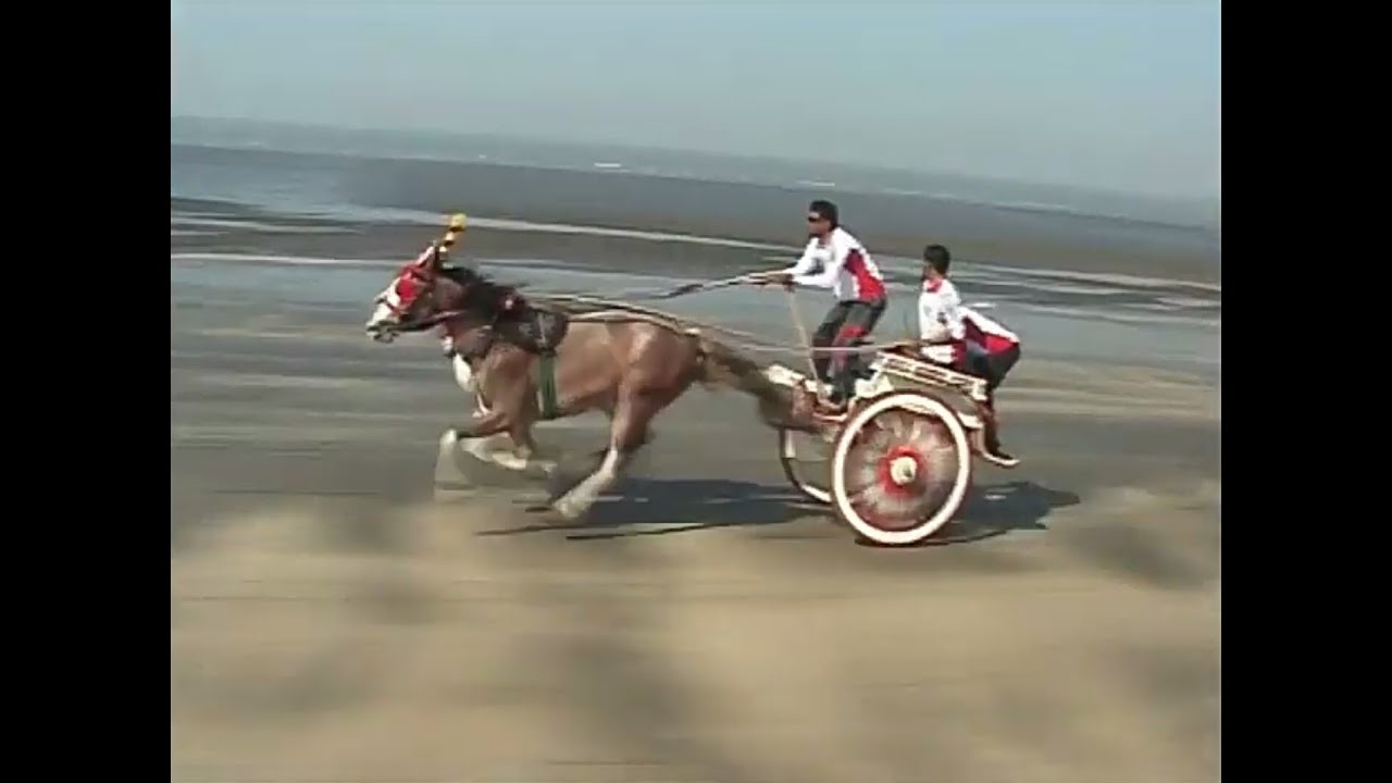 Alibaba & Sarkar Horse Race at Gorai Beach.