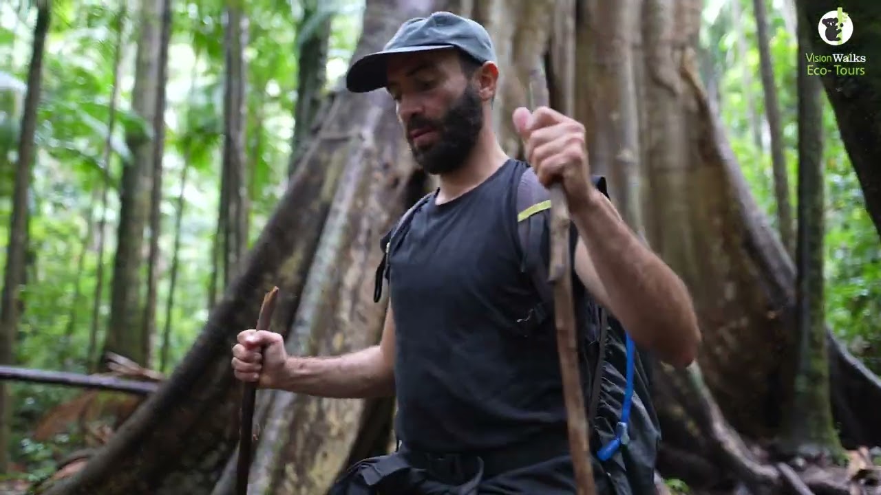 Gidjuum Gulganyi Hiking and Glamping Experience