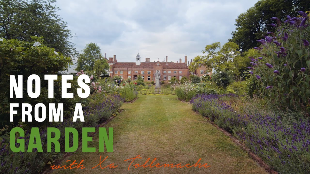 The 40-year evolution of Xa Tollemache's Suffolk garden | Notes from a Garden