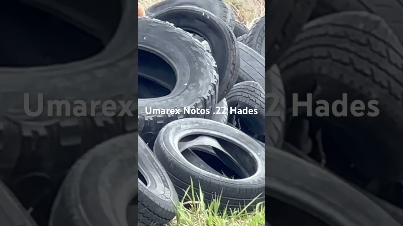 Umarex Notos .22 Hades vs Woodchuck.