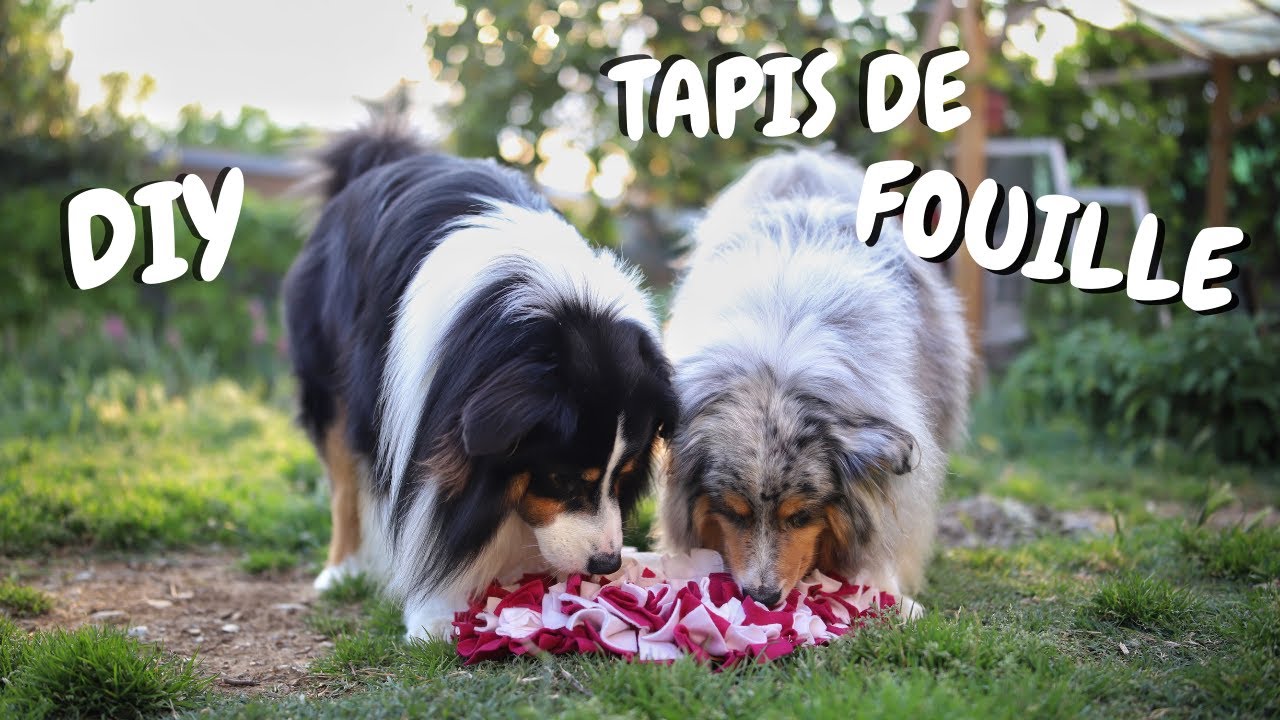 DIY : ON FABRIQUE UN TAPIS DE FOUILLE ♡