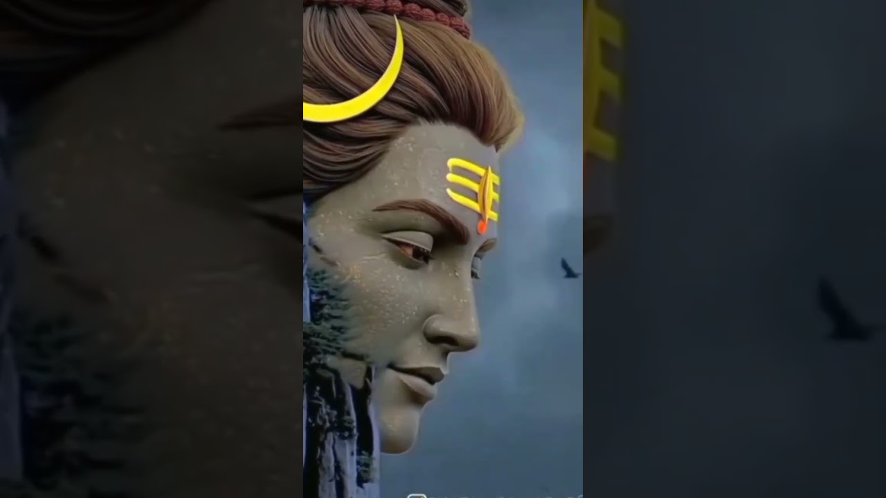 #shiv