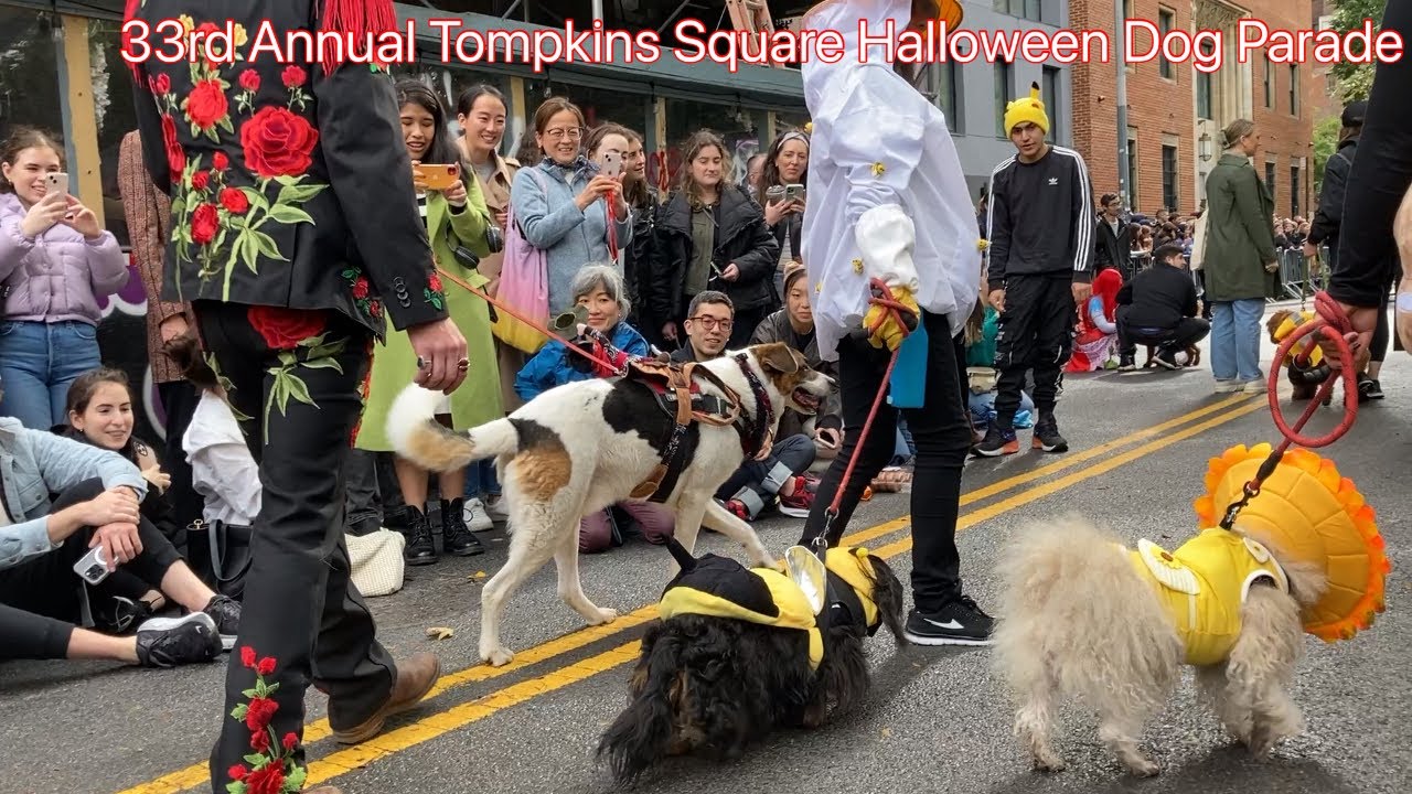 33rd Annual Tompkins Square Halloween Dog Parade highlights-2