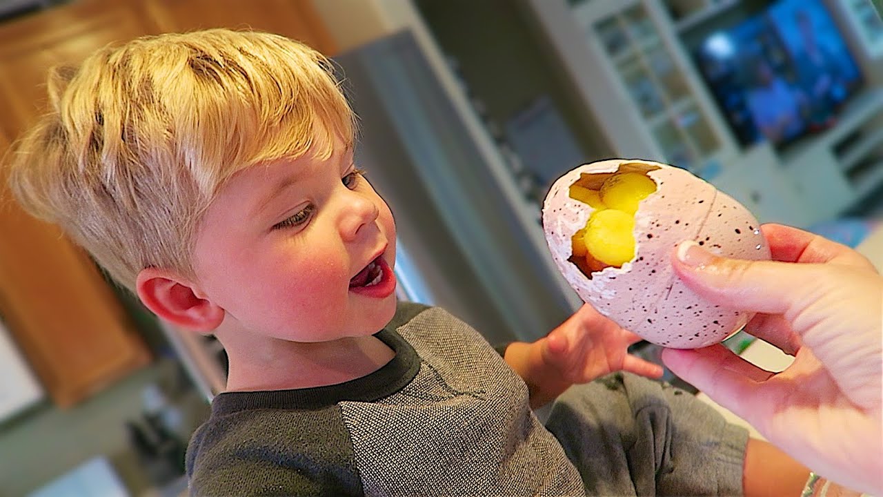 DINO EGG SURPRISE!