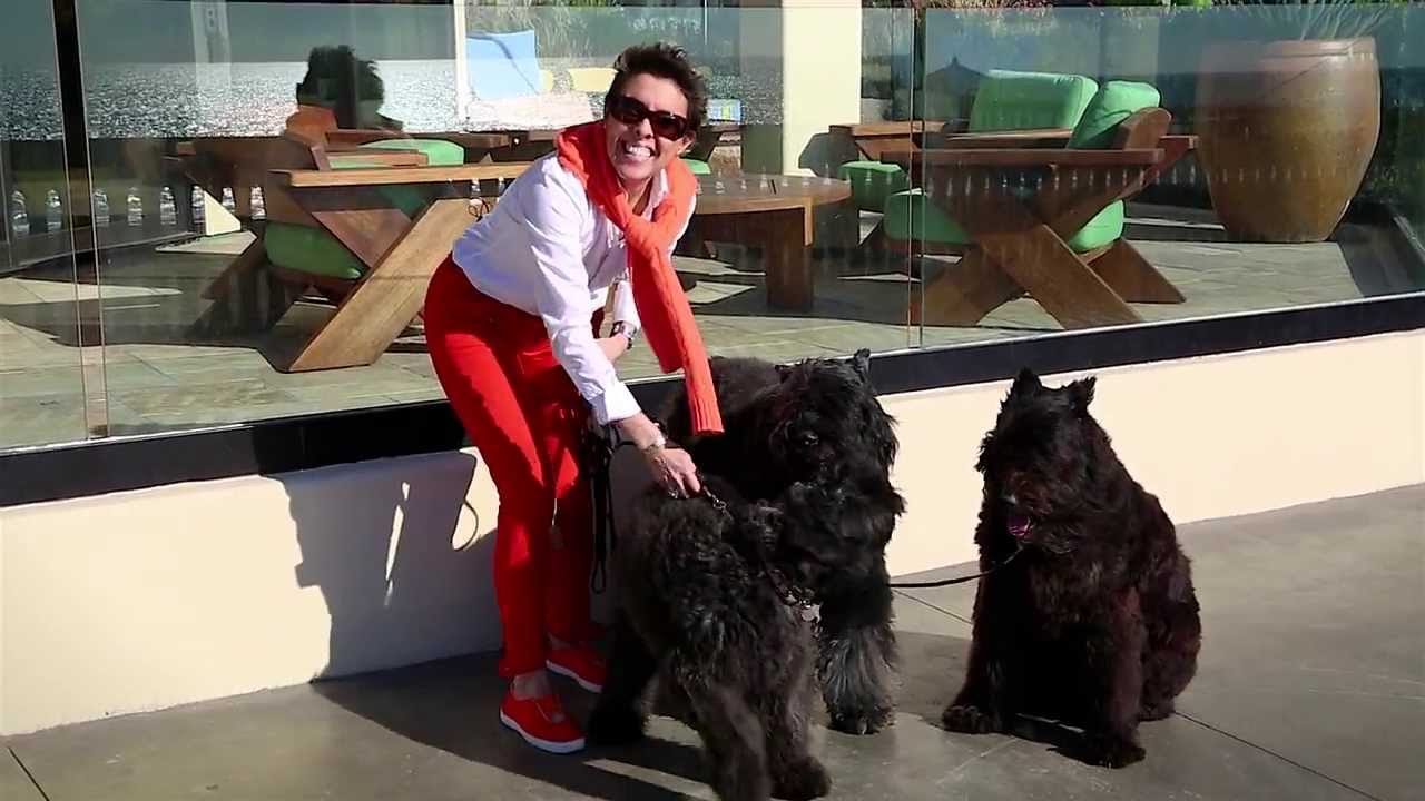 Alison Clay-Duboff | Making the Impossible Possible!
