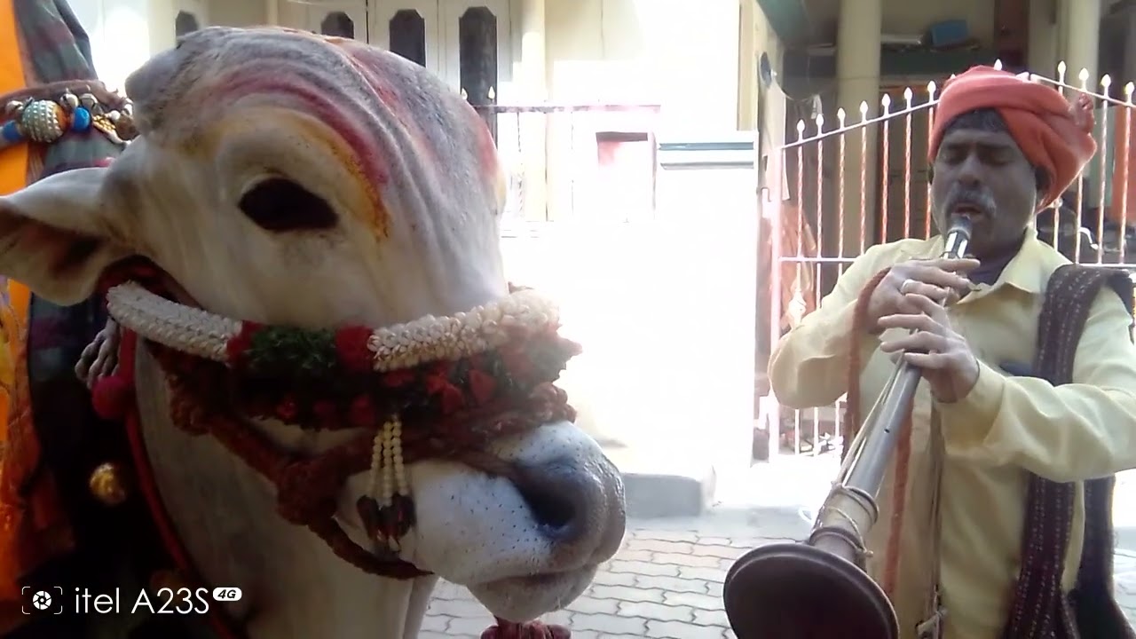 dr.rajkumar song kasturi nivasa
