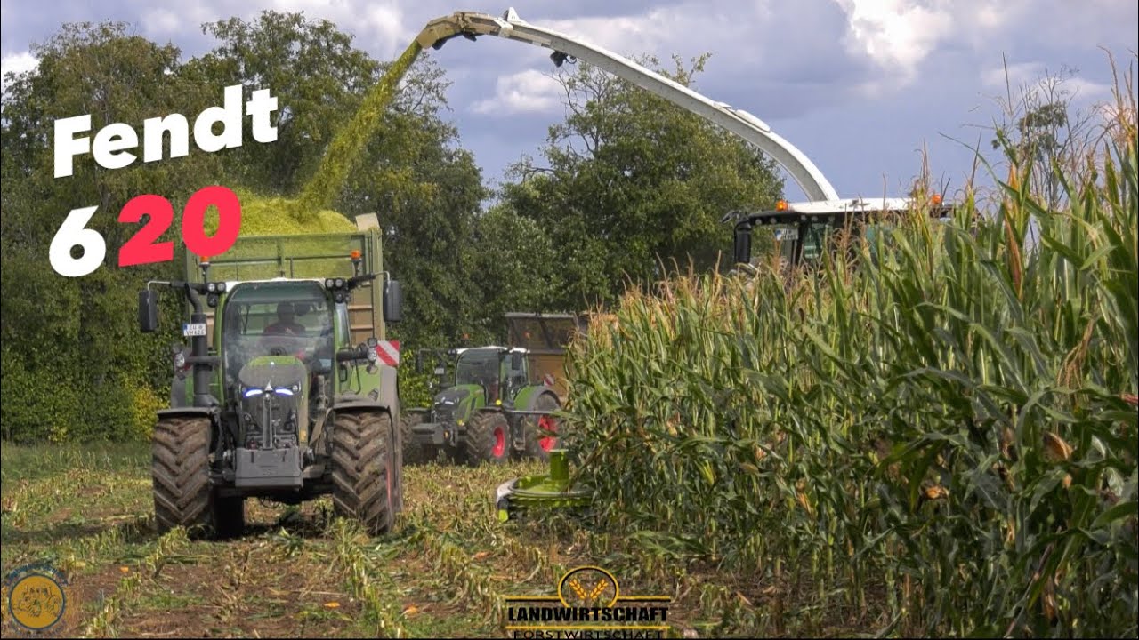 Fendt 620 bei der Maisernte & Maishäckseln auf dem Katastrophen Stück 2 Jaguar 980 , 990 Häcksler 